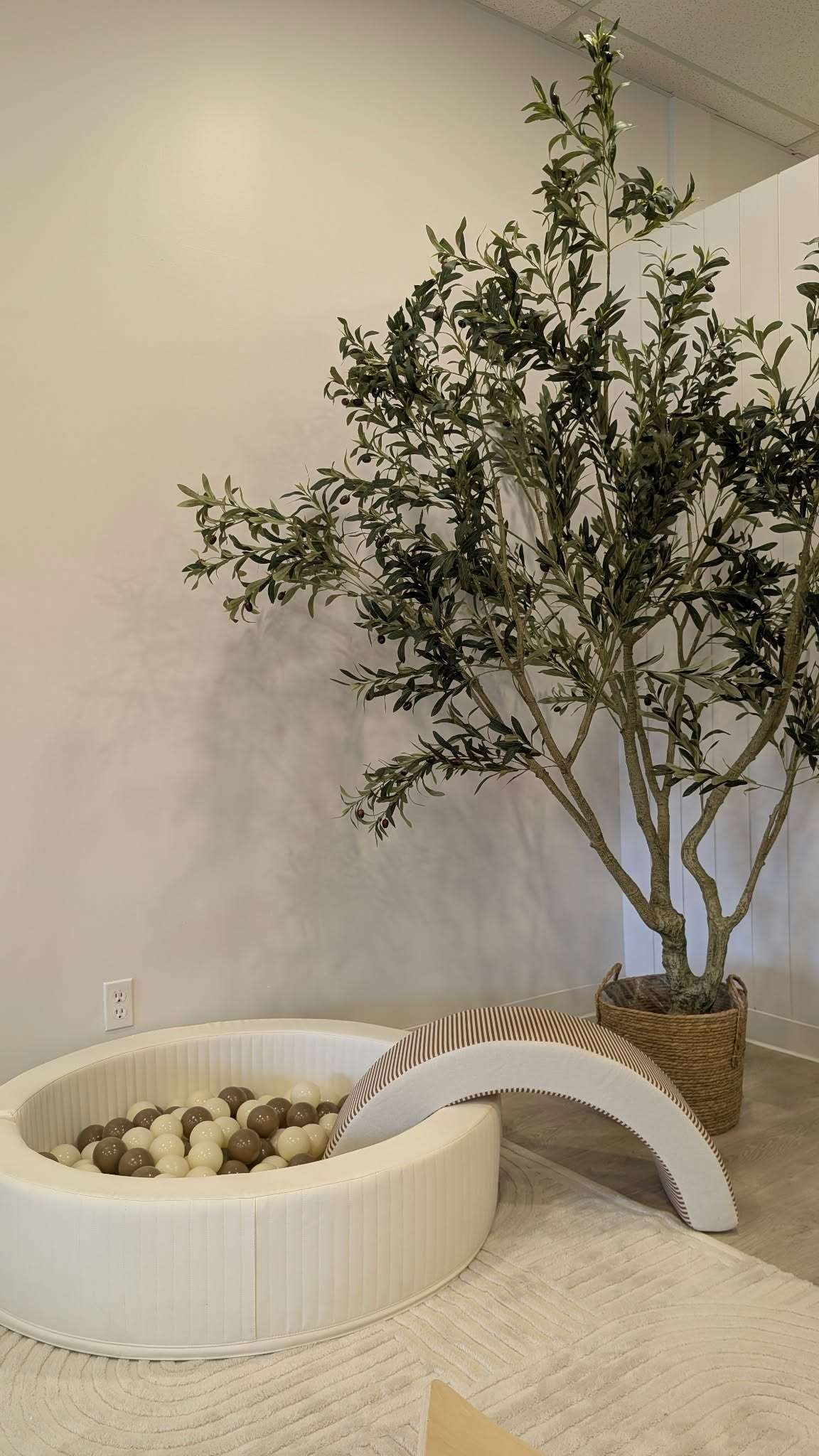 Ball pit with olive tree